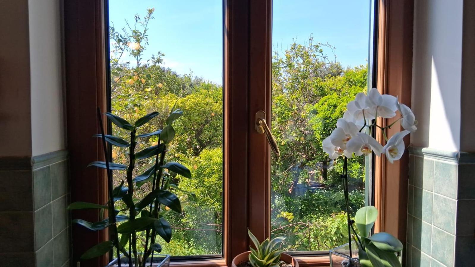 Il Giardino Dei Gigli Apartment เมตา ภายนอก รูปภาพ