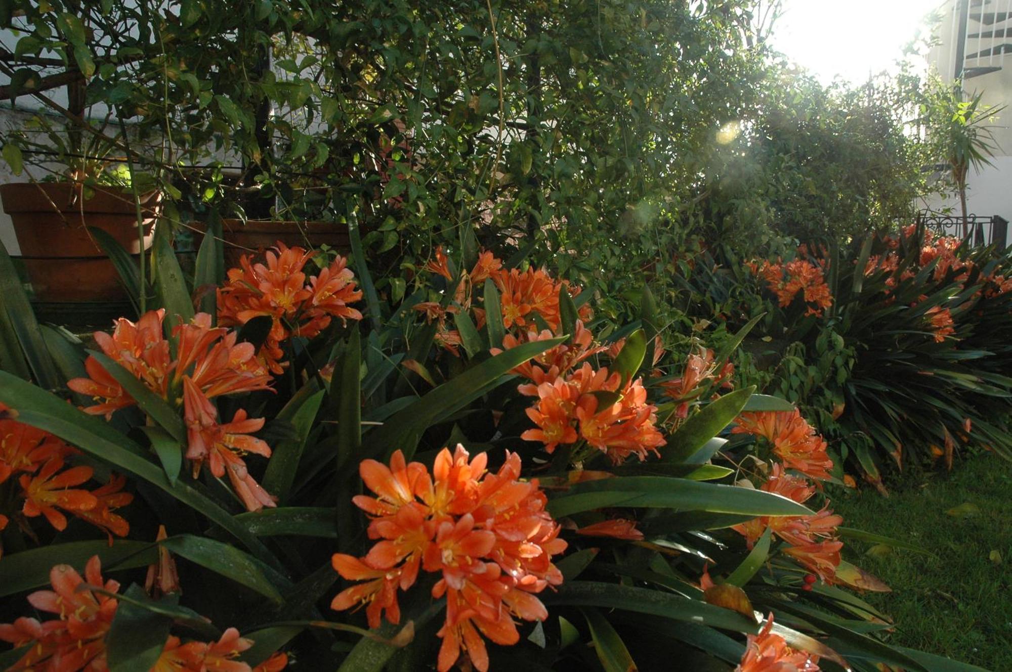 Il Giardino Dei Gigli Apartment เมตา ภายนอก รูปภาพ