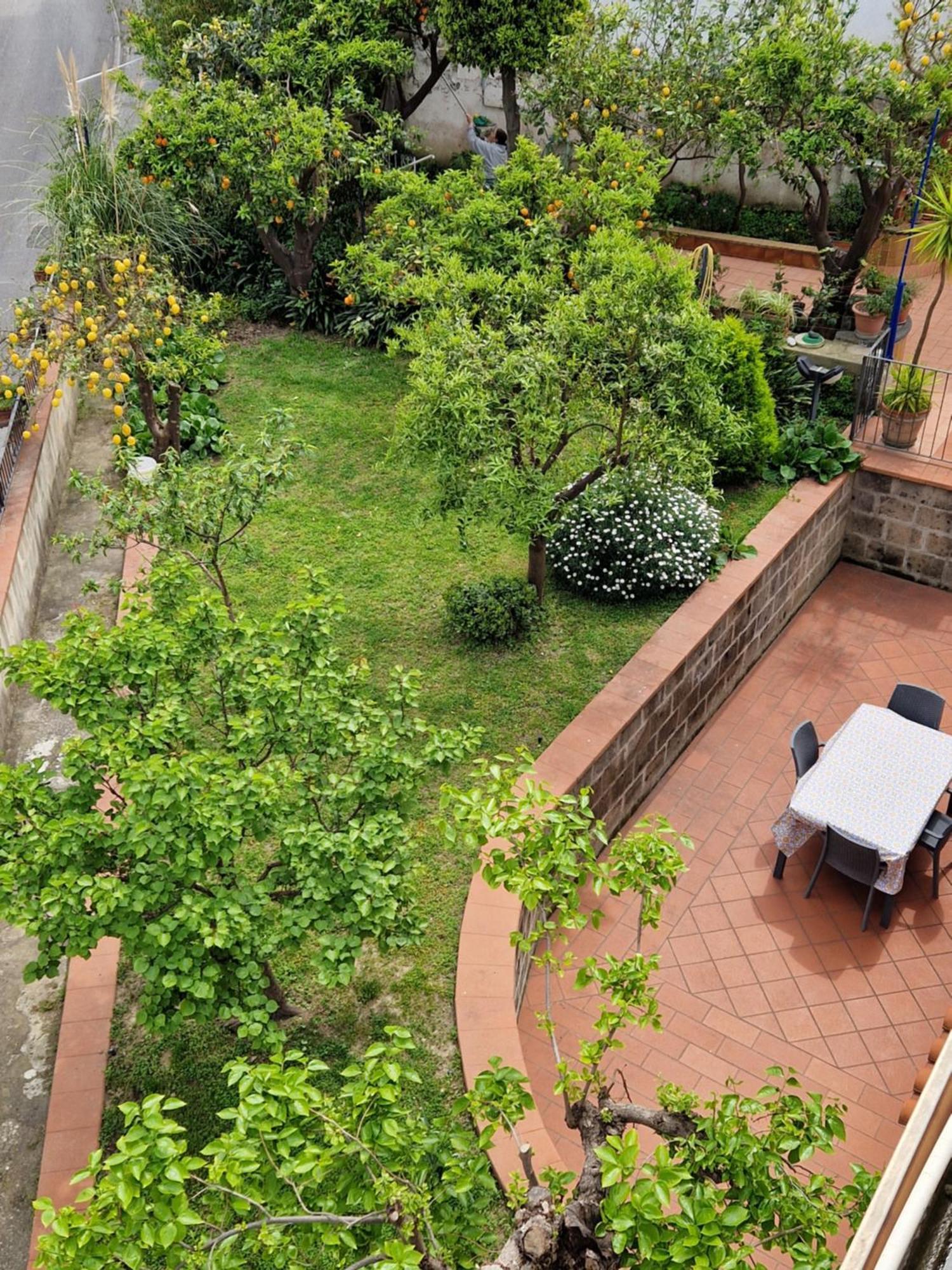 Il Giardino Dei Gigli Apartment เมตา ภายนอก รูปภาพ
