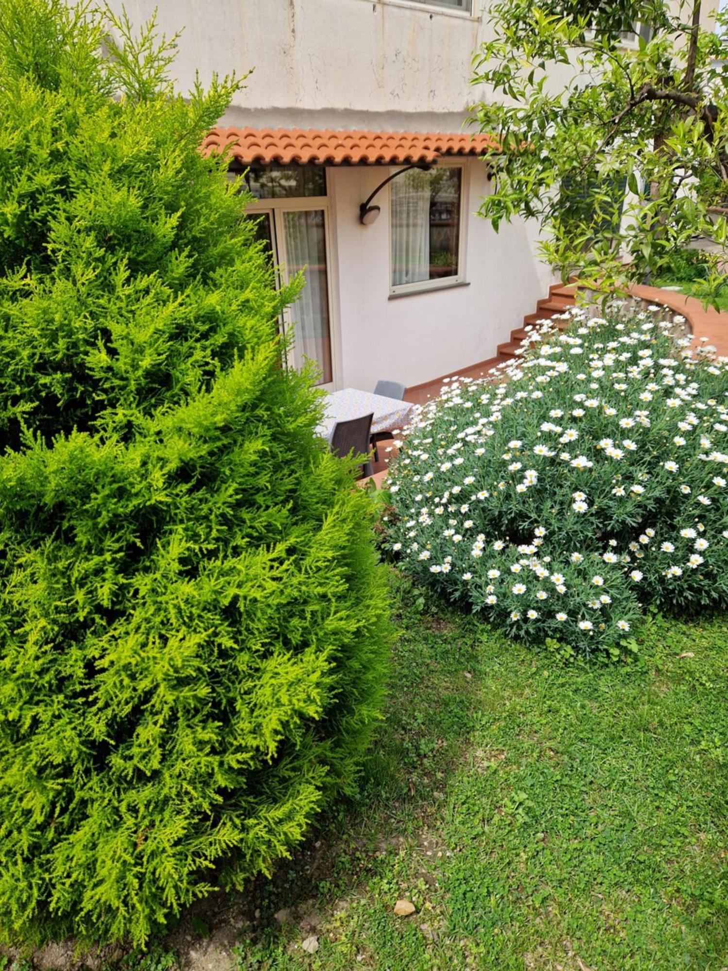 Il Giardino Dei Gigli Apartment เมตา ภายนอก รูปภาพ
